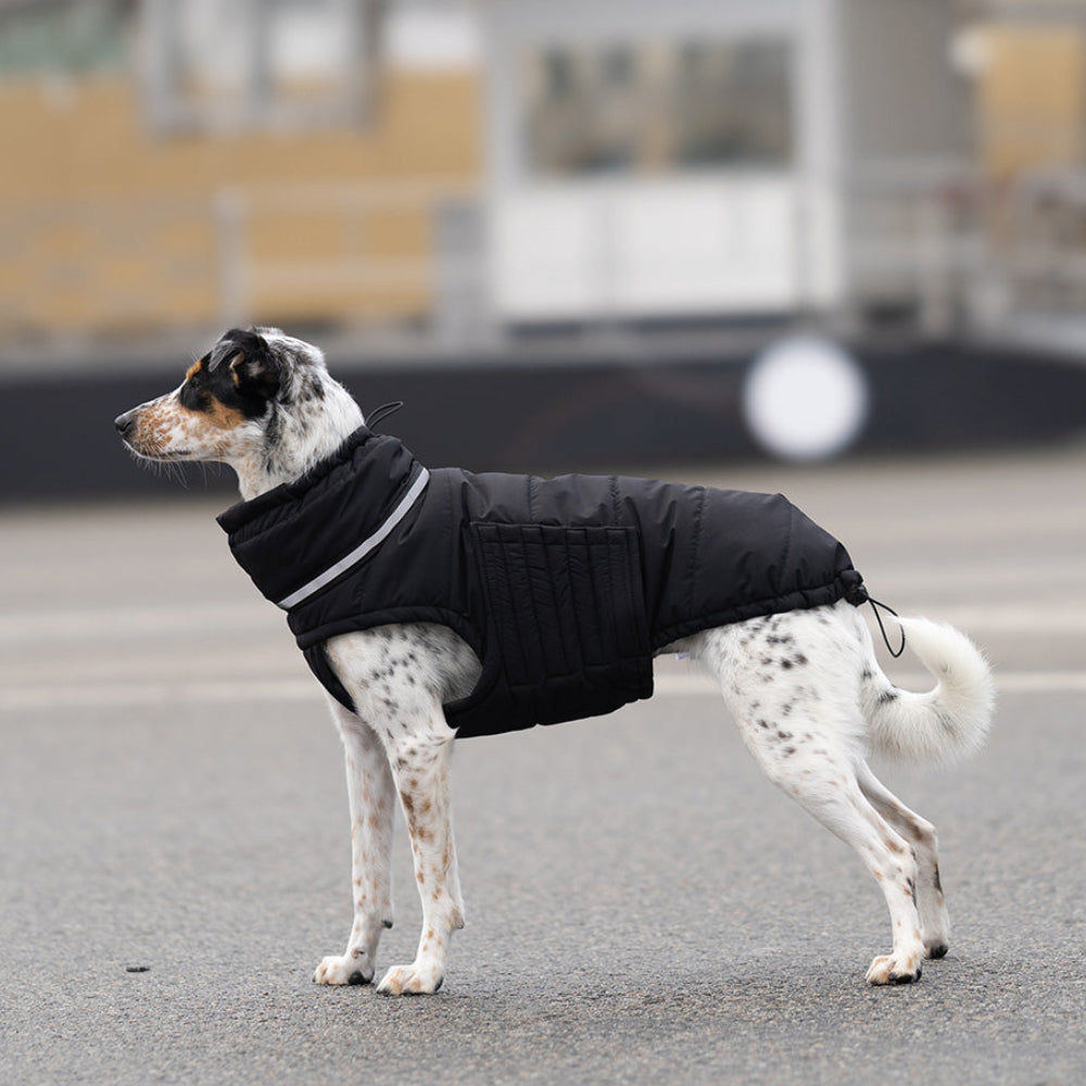 Пуховик Bobby Black