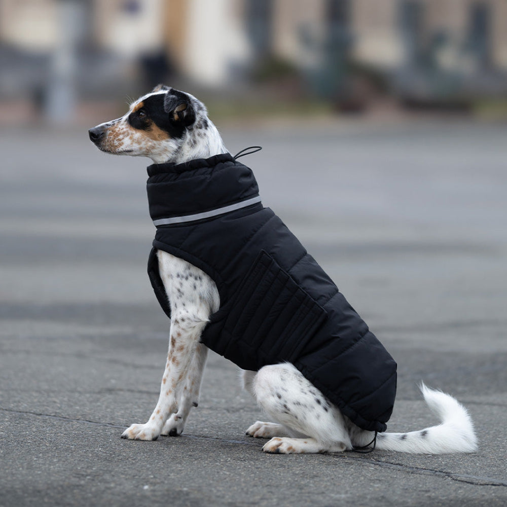 Пуховик Bobby Black