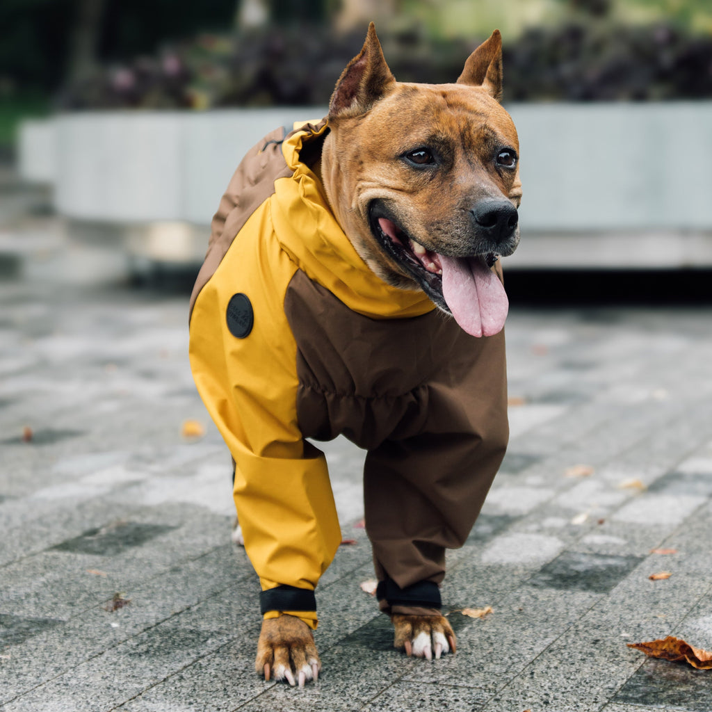 Зимовий кобінезон койот гірчиця