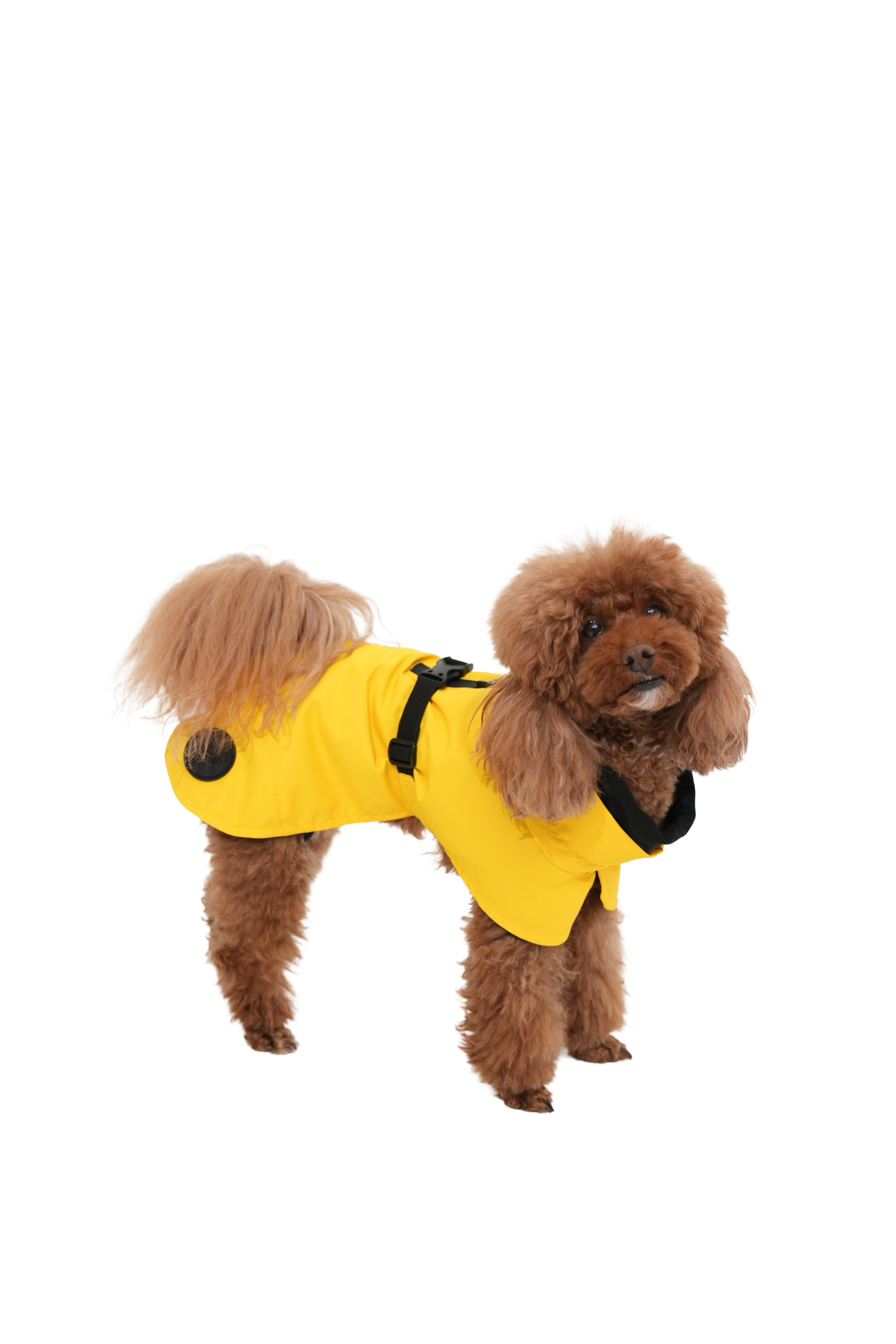 Мембрана попона жовта