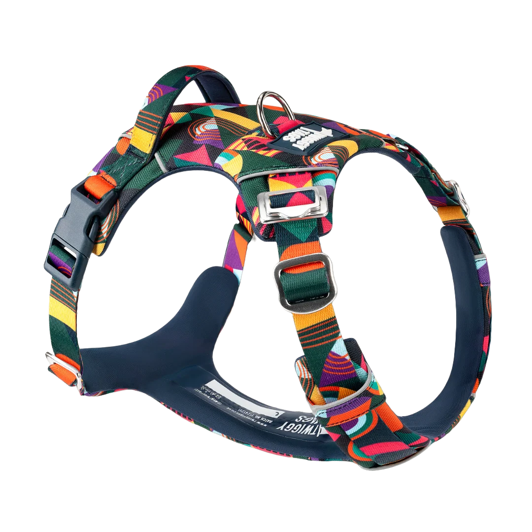 Шлея для собак Twiggy Tags Adventure Harness, колір Aurora