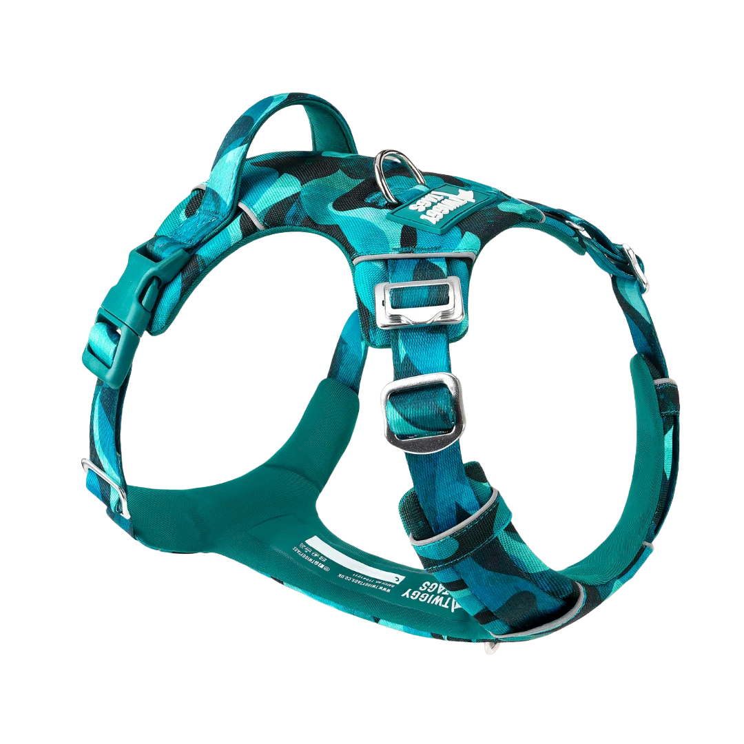 Шлея для собак Twiggy Tags Adventure Harness, колір Lagoon