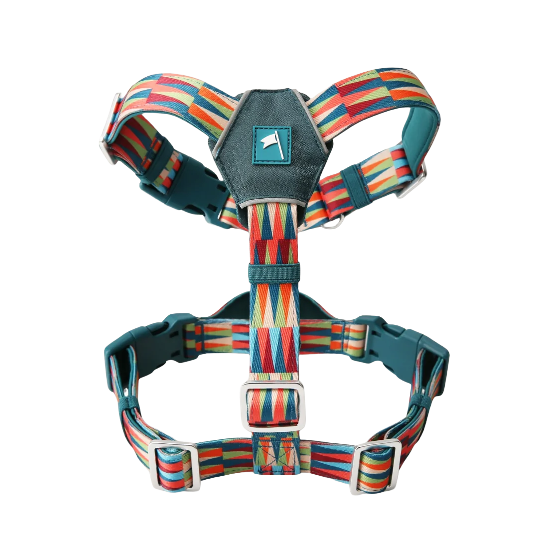 Шлея для собак Twiggy Tags Horizon Harness, колір Oasis