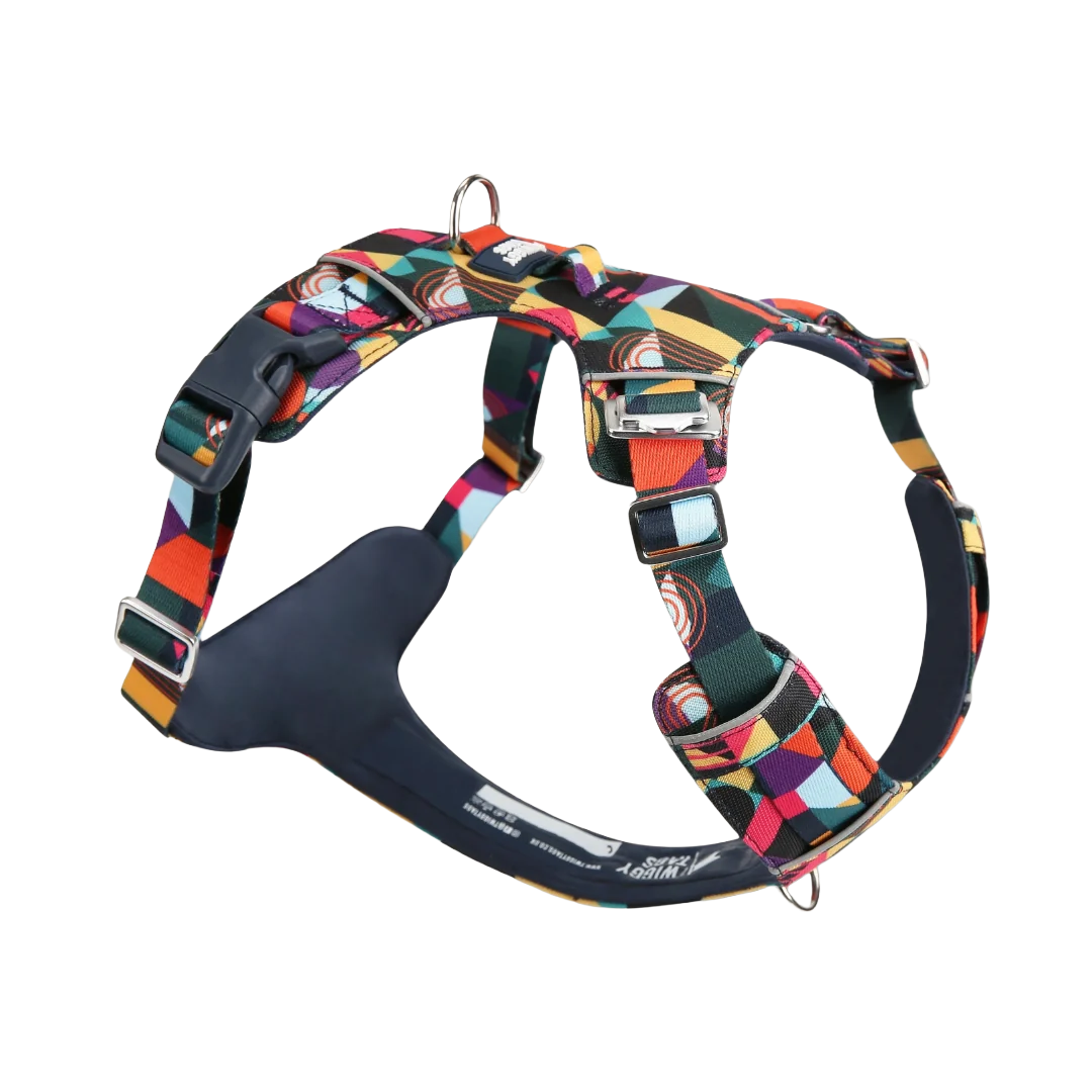 Шлея для собак Twiggy Tags Adventure LITE Harness, колір Aurora