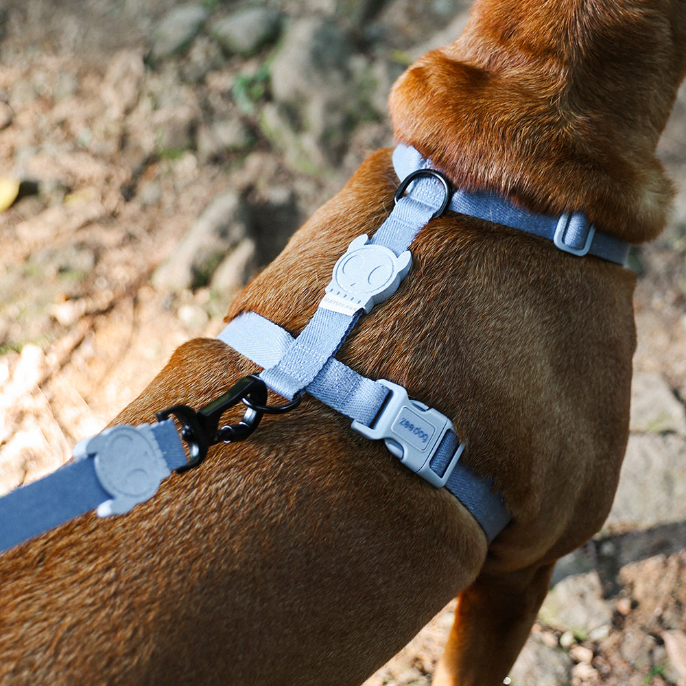 Шлея для собак Zee.Dog Naturals Marine H-Harness