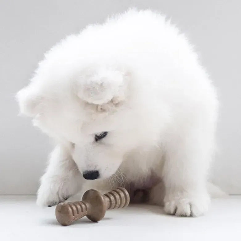 Набір зжувальних іграшок зі смаком бекону