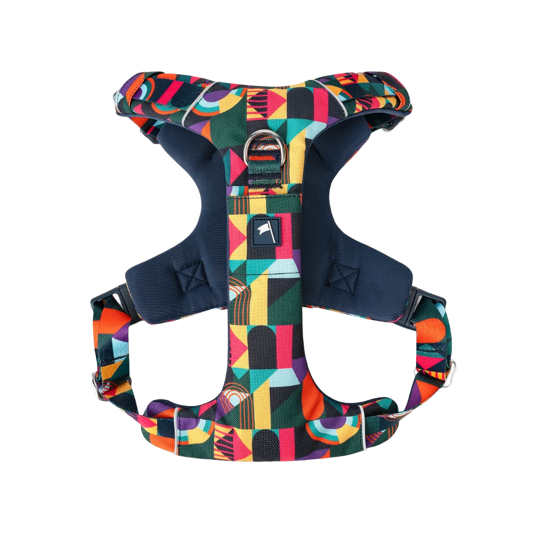 Шлея для собак Twiggy Tags Adventure Harness, колір Aurora