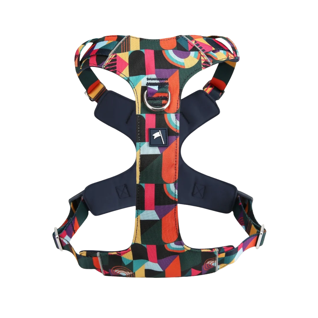 Шлея для собак Twiggy Tags Adventure LITE Harness, колір Aurora