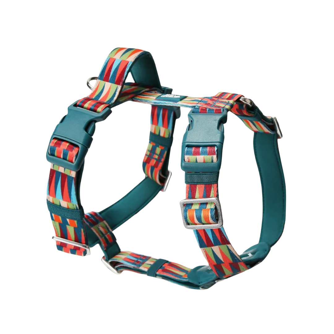 Шлея для собак Twiggy Tags Horizon Harness, колір Oasis
