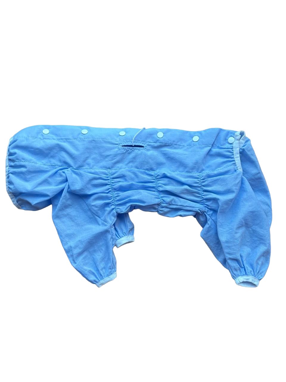 Пильник для собак голубий