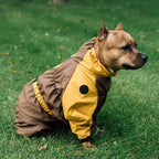 Зимовий кобінезон койот гірчиця