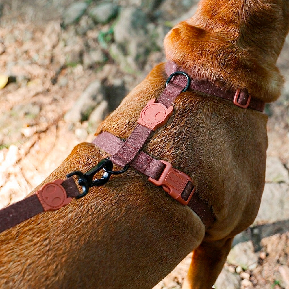 Шлея для собак Zee.Dog Naturals Cocoa  H-Harness