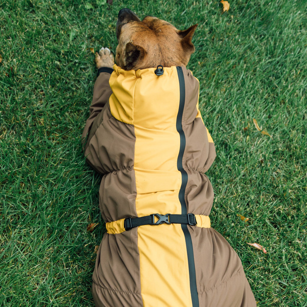 Зимовий кобінезон койот гірчиця