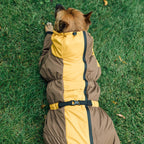 Зимовий кобінезон койот гірчиця