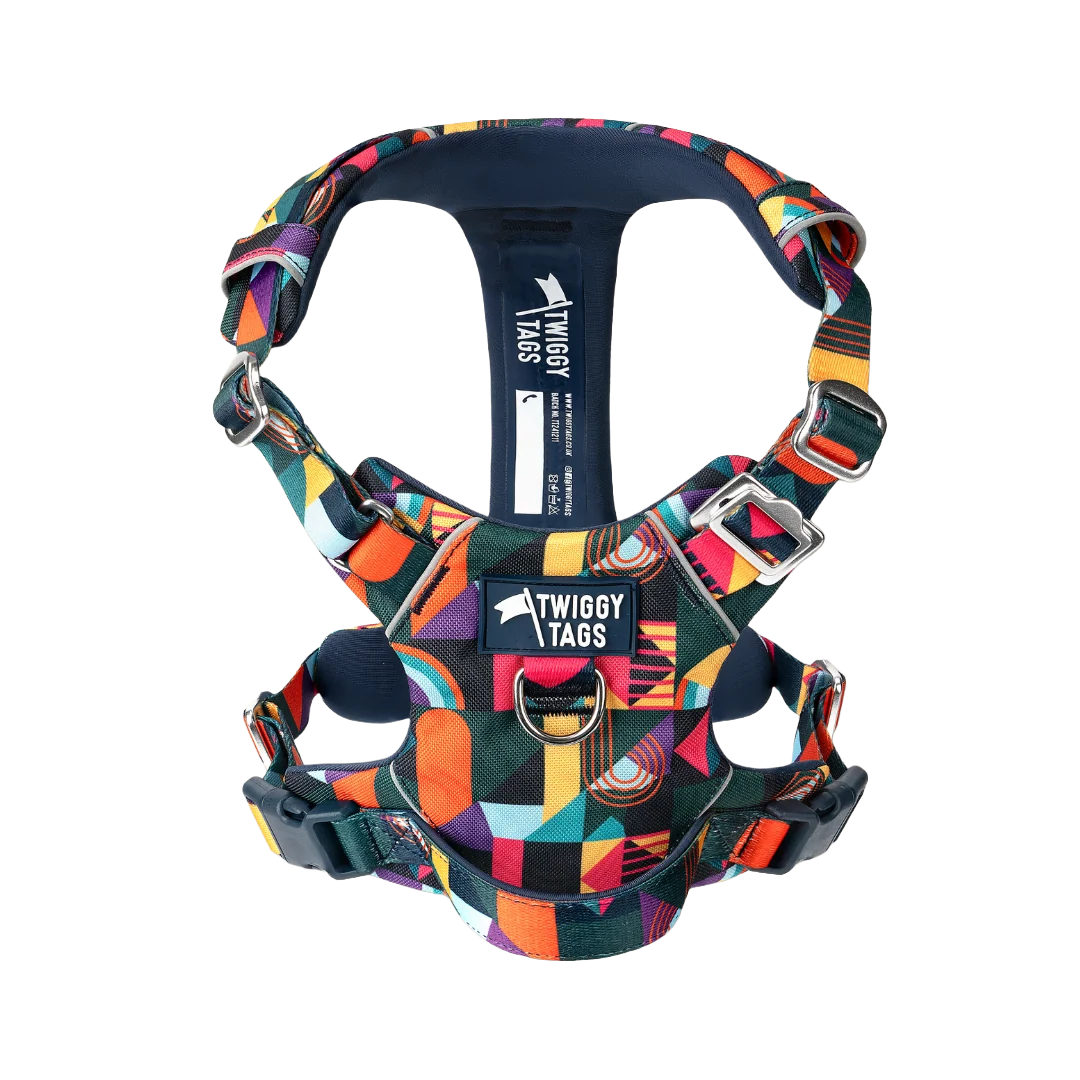 Шлея для собак Twiggy Tags Adventure Harness, колір Aurora