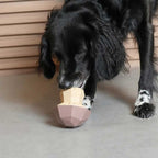 Іграшка для собак Mushroom