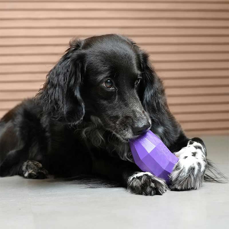 Іграшка для собак Eggplant