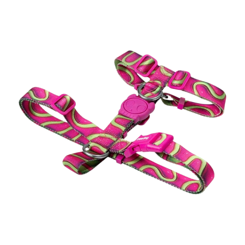 Шлея для собак Zee.Dog - H3D Jelly H-Harness