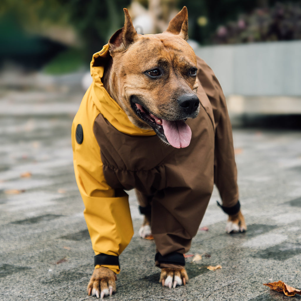 Зимовий кобінезон койот гірчиця