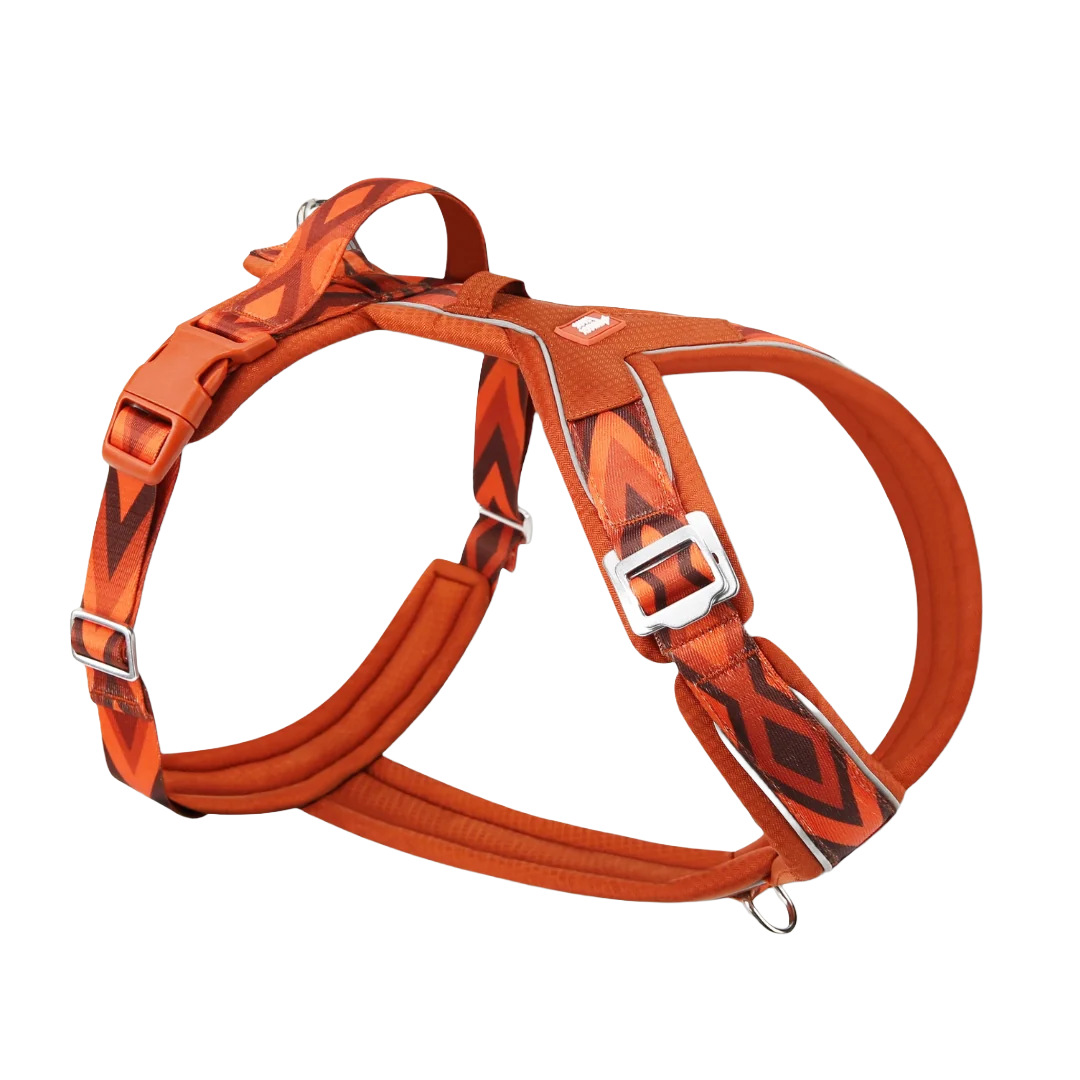 Шлея для собак Twiggy Tags Apex Harness, колір Dawn