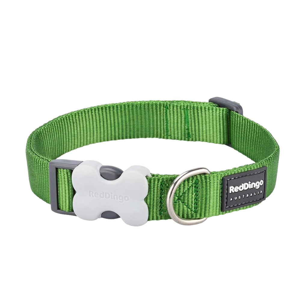 Нашийник для собак класичний зелений