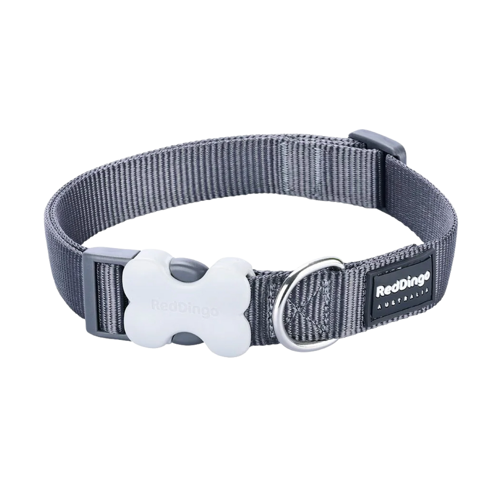Нашийник для собак класичний холодний сірий