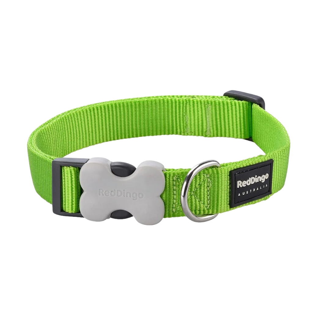 Нашийник для собак класичний салатовий