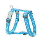 Шлея для собак Red Dingo класична - Stars White on Turquoise