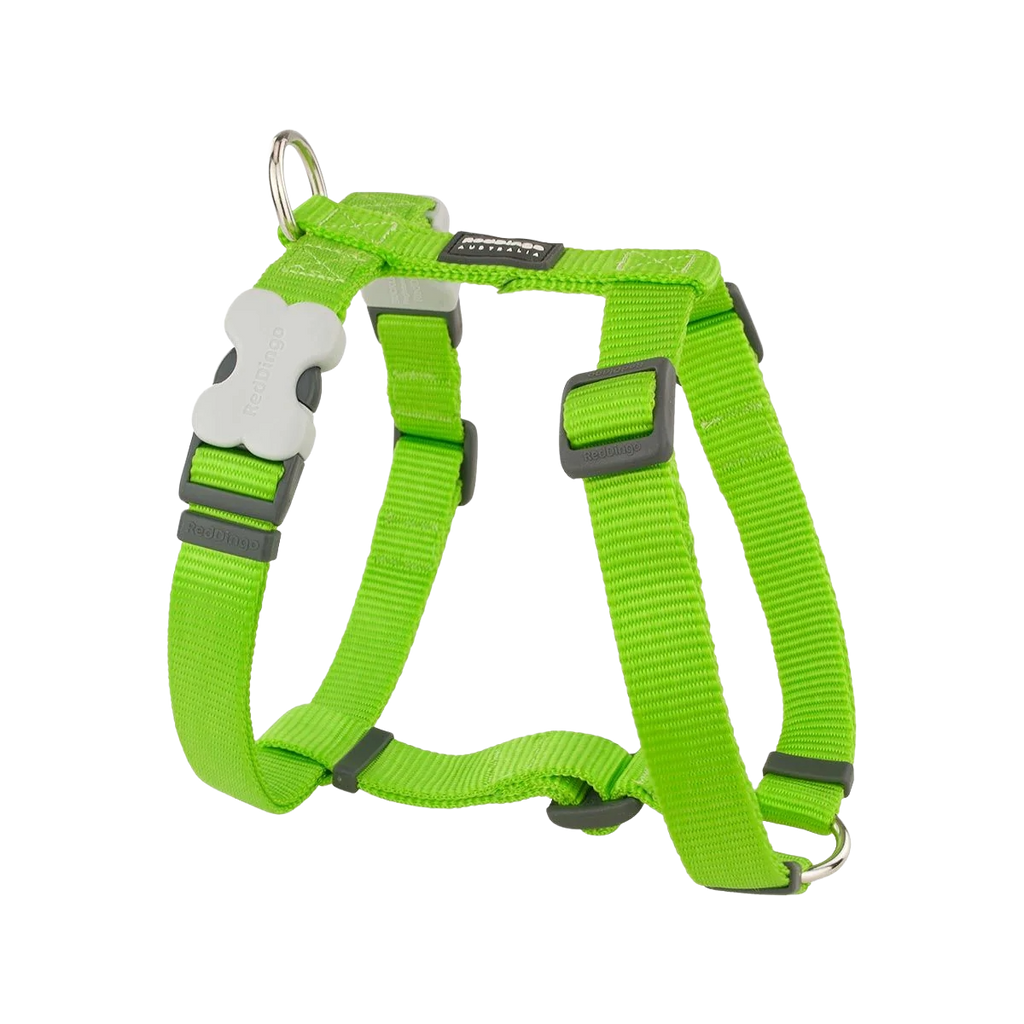 Шлея для собак Red Dingo класична - Lime Green H-Harness