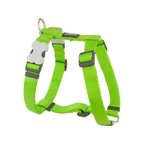 Шлея для собак Red Dingo класична - Lime Green H-Harness