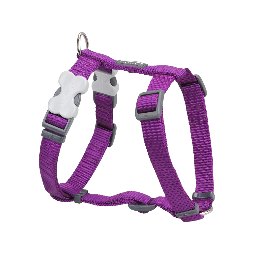 Шлея для собак Red Dingo класична - Purple H-Harness