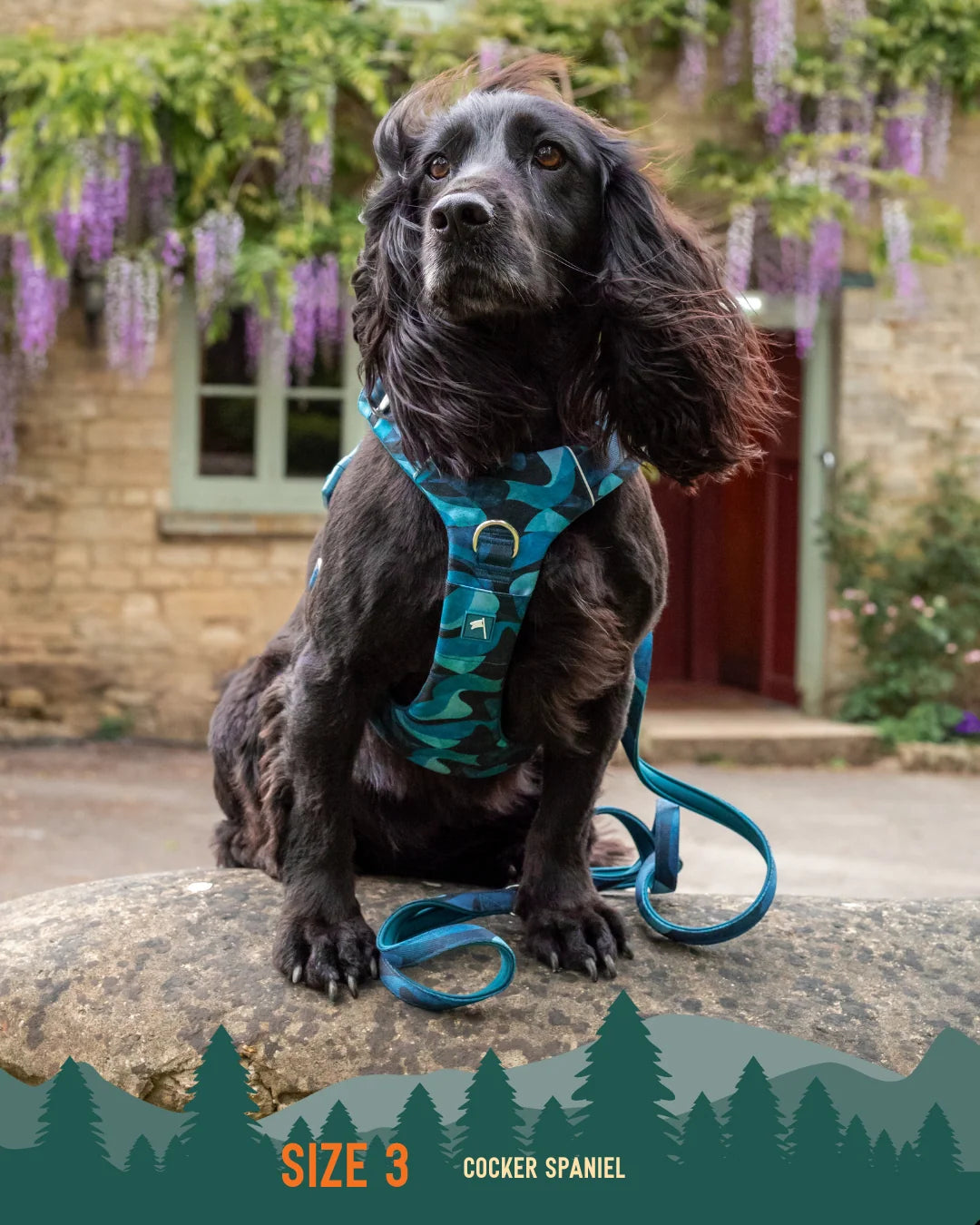 Шлея для собак Twiggy Tags Adventure Harness, колір Lagoon