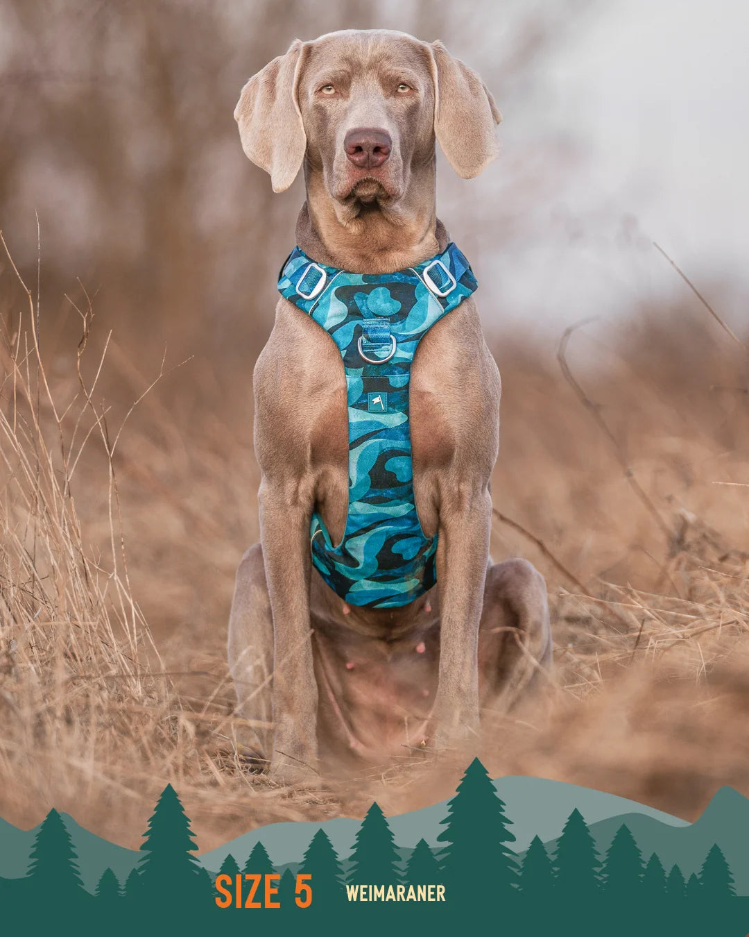 Шлея для собак Twiggy Tags Adventure Harness, колір Lagoon