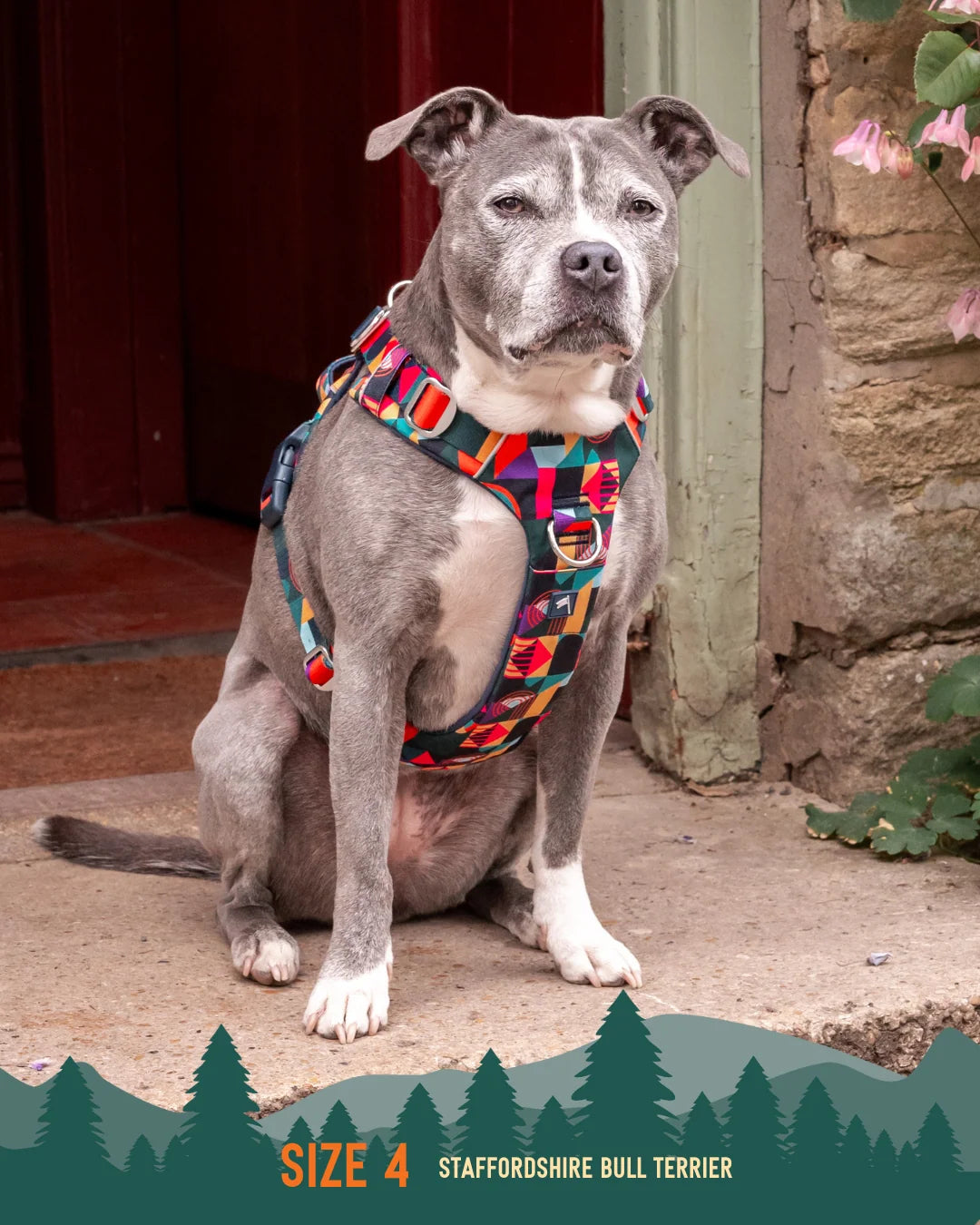 Шлея для собак Twiggy Tags Adventure Harness, колір Aurora