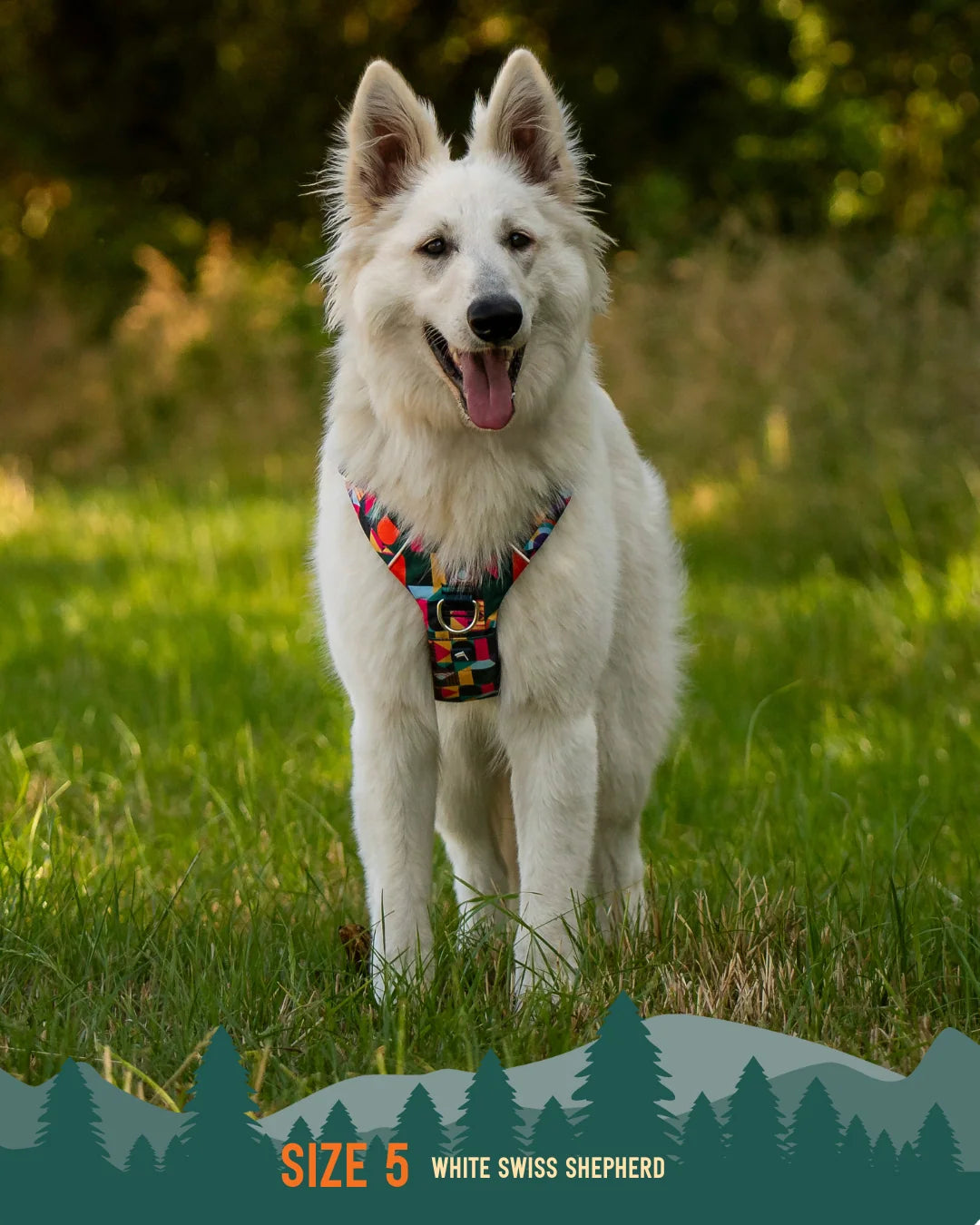 Шлея для собак Twiggy Tags Adventure Harness, колір Aurora
