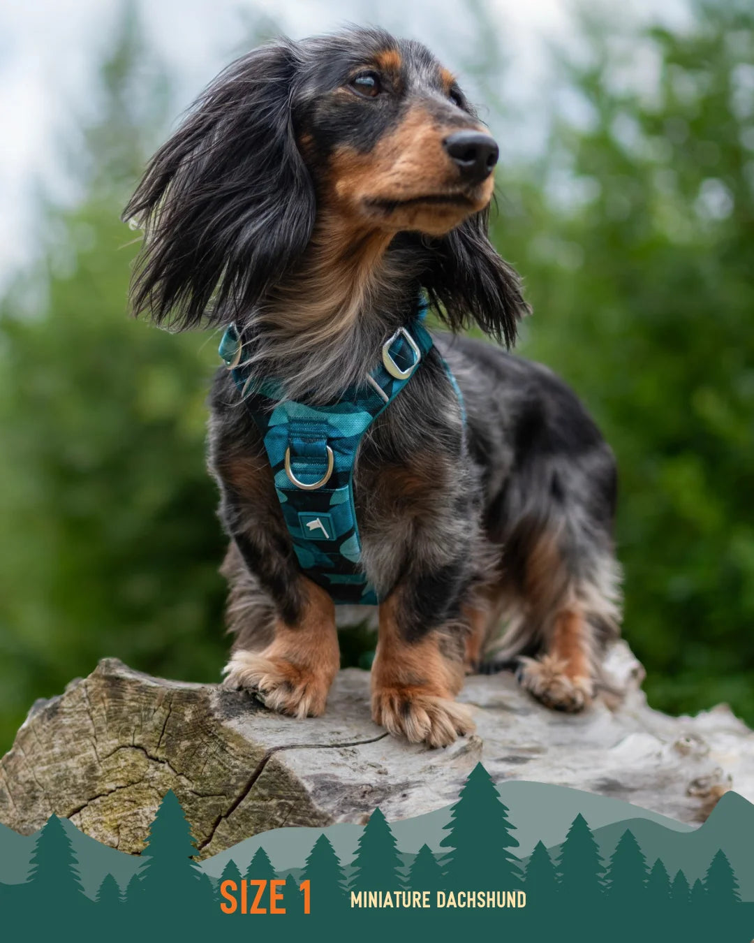 Шлея для собак Twiggy Tags Adventure Harness, колір Lagoon