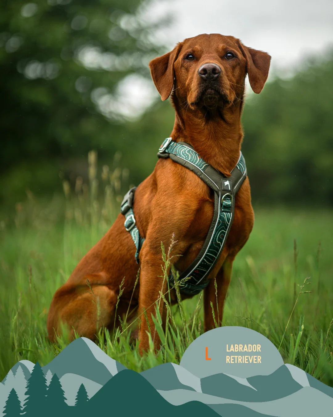Шлея для собак Twiggy Tags Apex Harness, колір Nomad