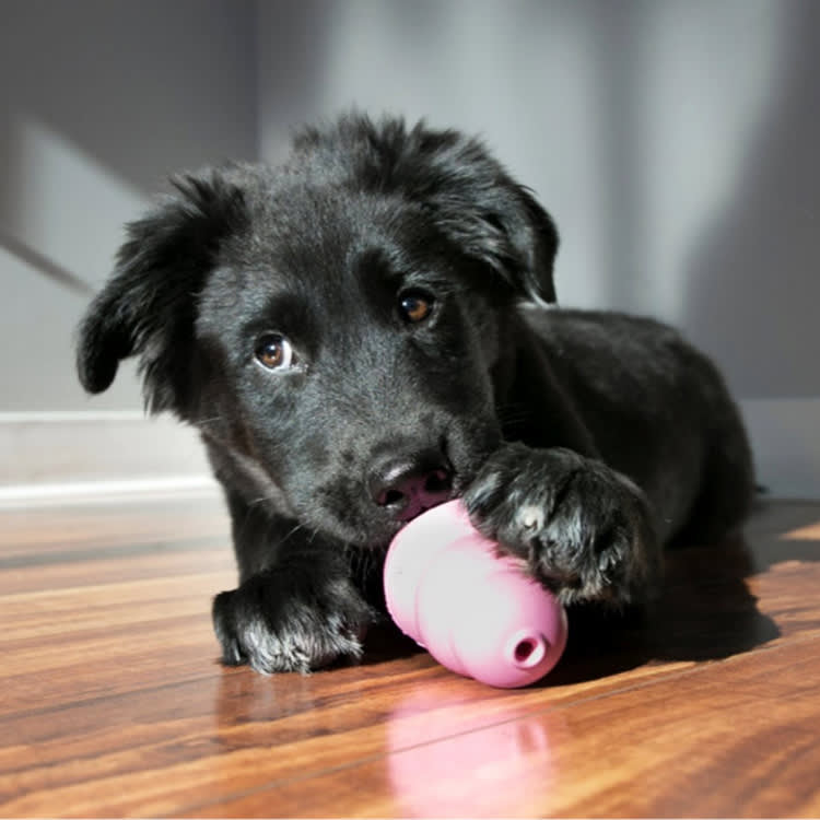 Іграшка KONG Puppy