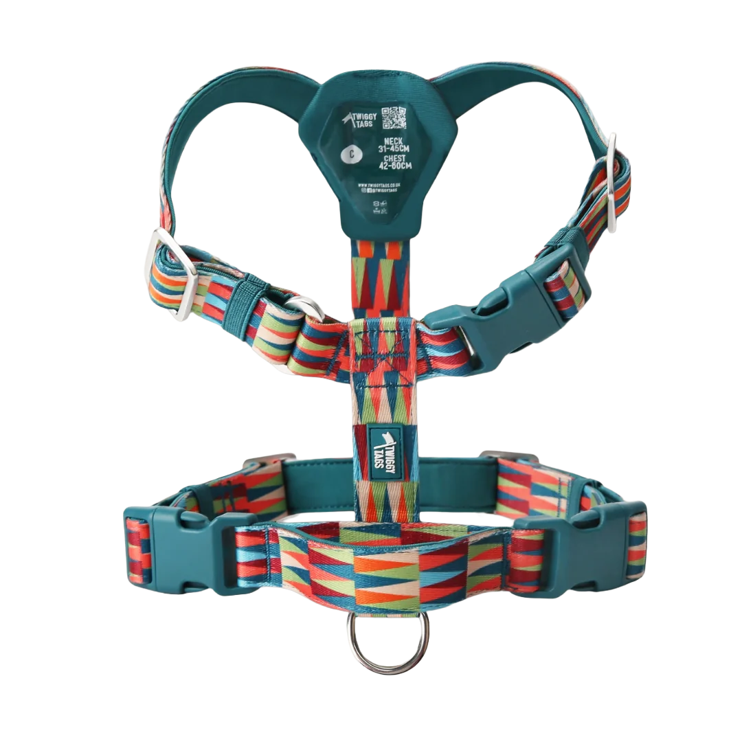 Шлея для собак Twiggy Tags Horizon Harness, колір Oasis