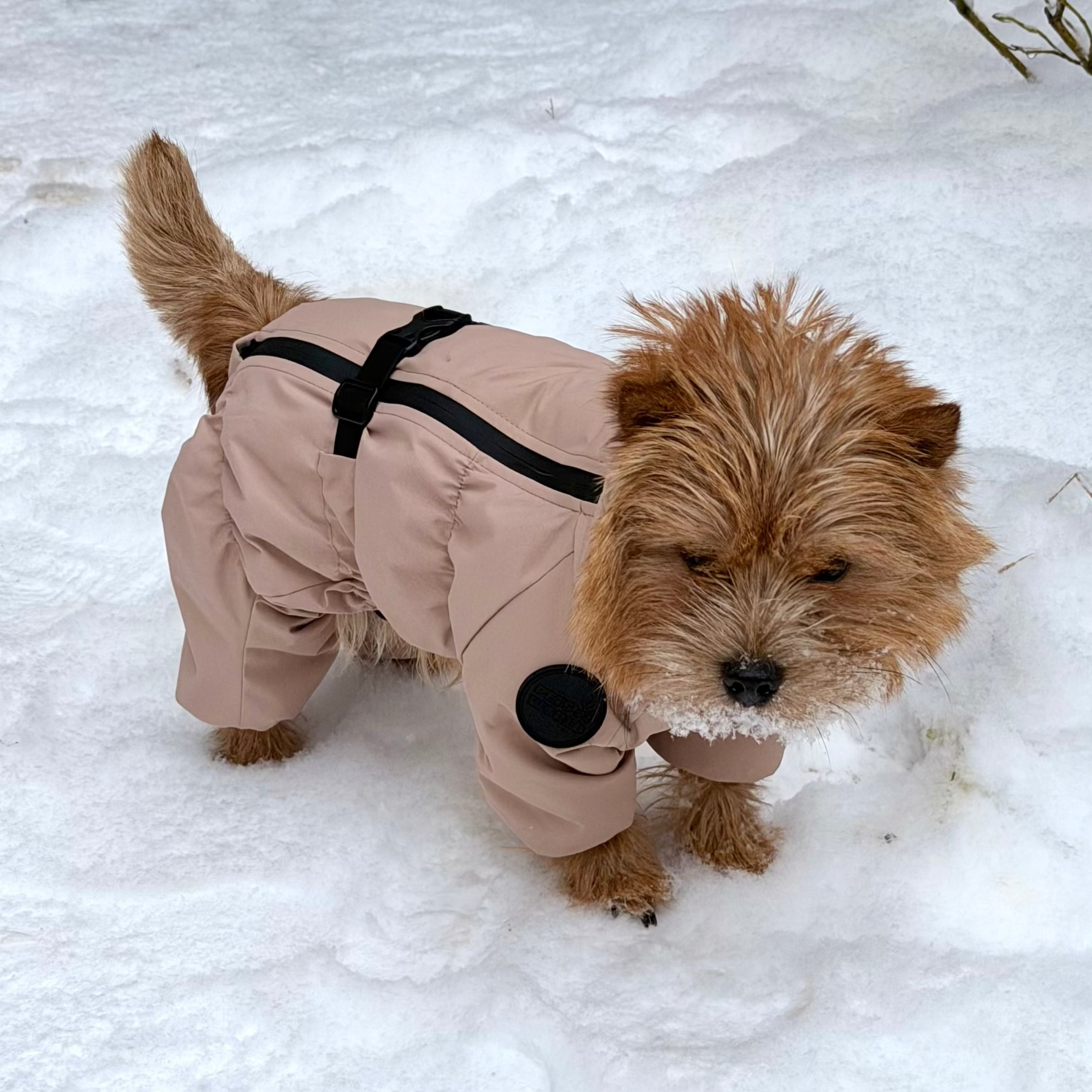 Зимовий кобінезон бежевий