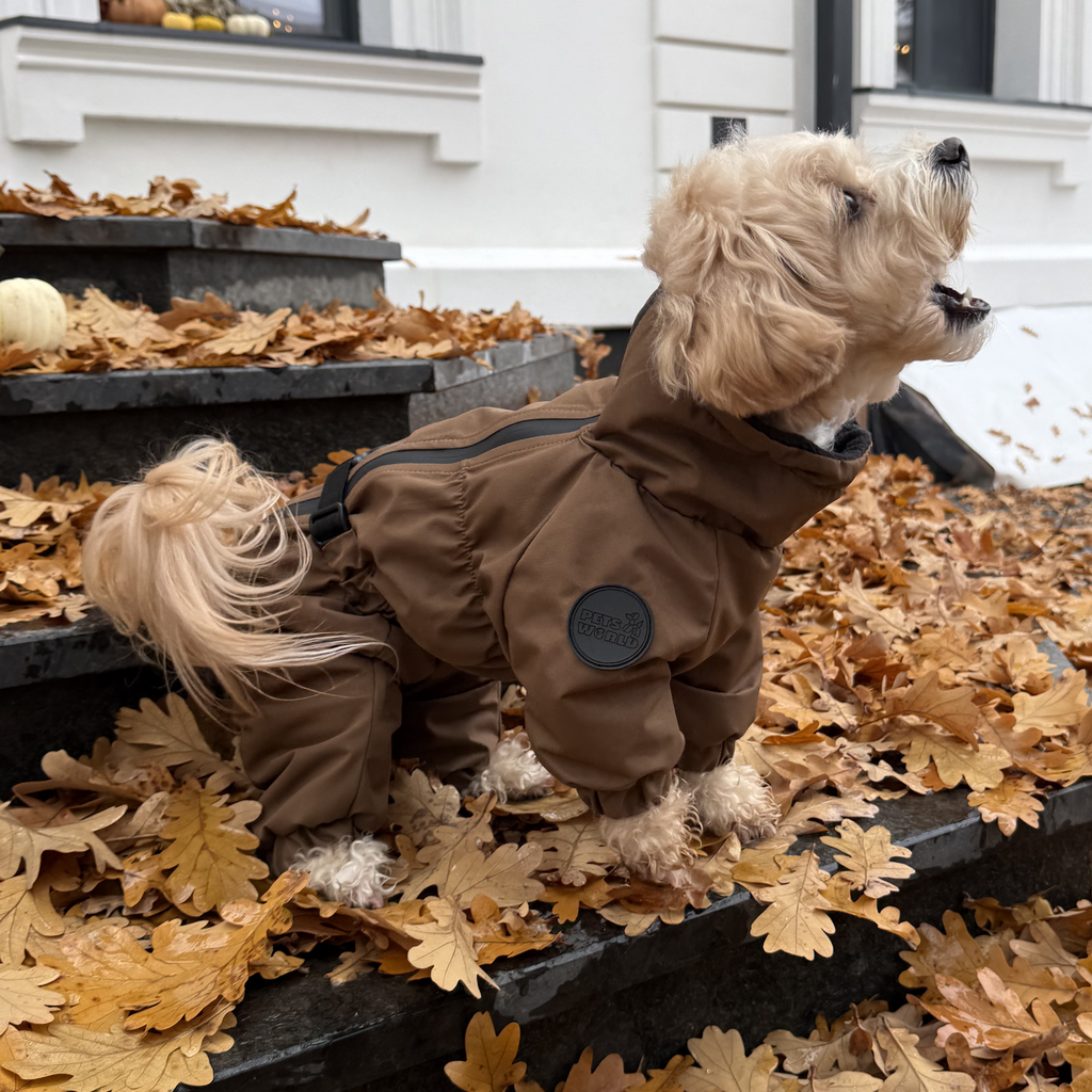 Зимовий кобінезон койот