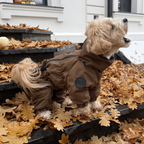 Зимовий кобінезон койот