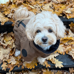 Зимовий кобінезон койот