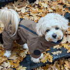 Зимовий кобінезон койот