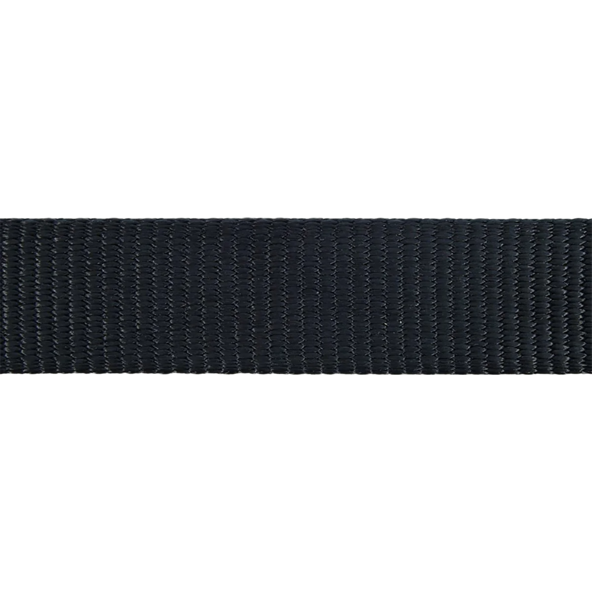 Нашийник для собак класичний чорний