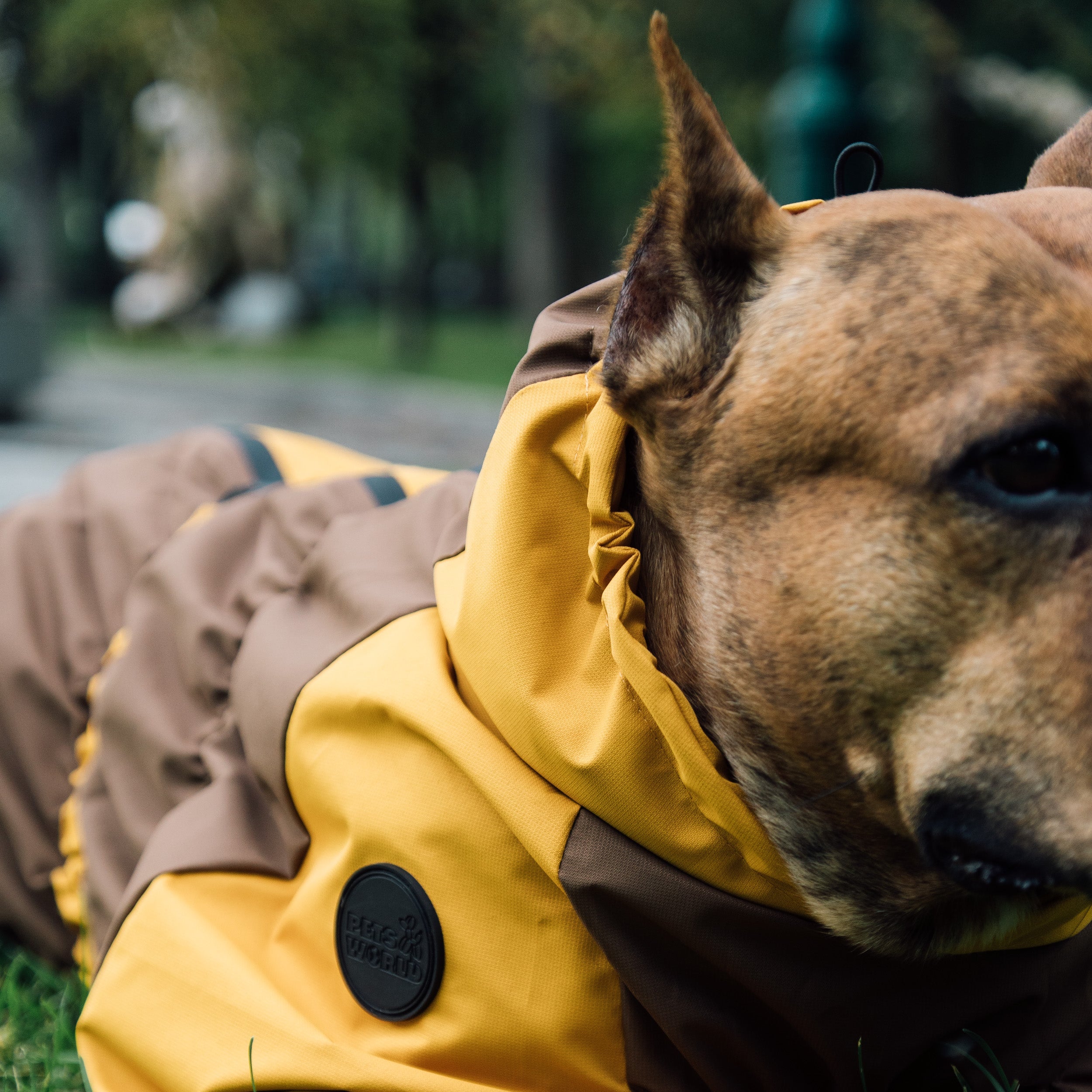 Зимовий кобінезон койот гірчиця