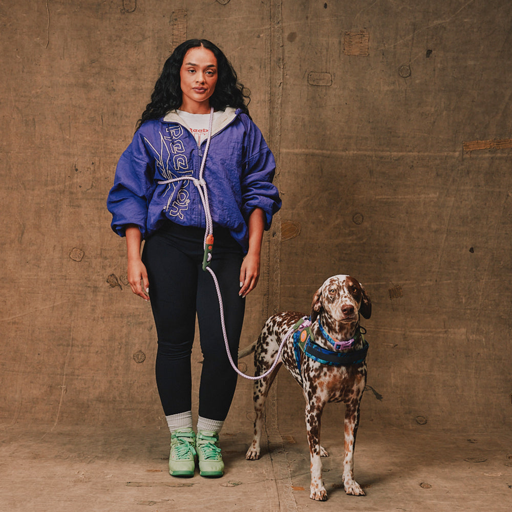 Повідець вільні руки Zee.Dog - Trekk