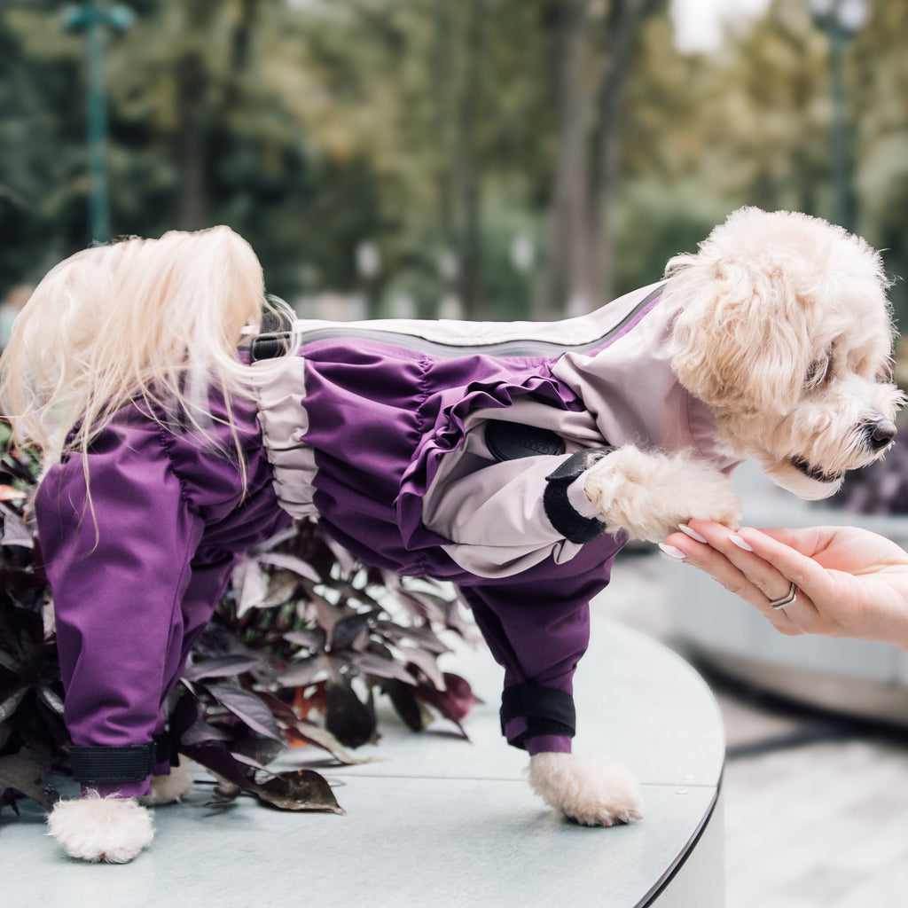 Зимовий кобінезон фіолетово-ліловий