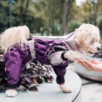 Зимовий кобінезон фіолетово-ліловий