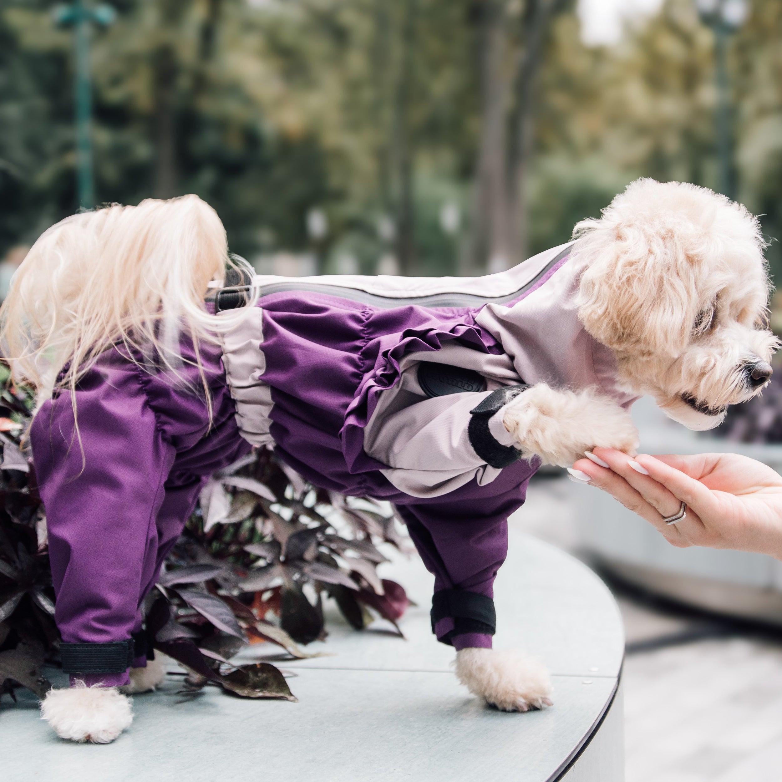 Зимовий кобінезон фіолетово-ліловий